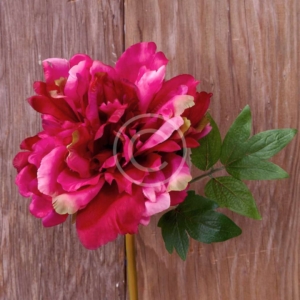 City Skyline Custom State Pillow